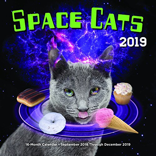 Space Cats 2019: 16-Month Calendar - September 2018 through December 2019