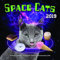 Space Cats 2019: 16-Month Calendar - September 2018 through December 2019
