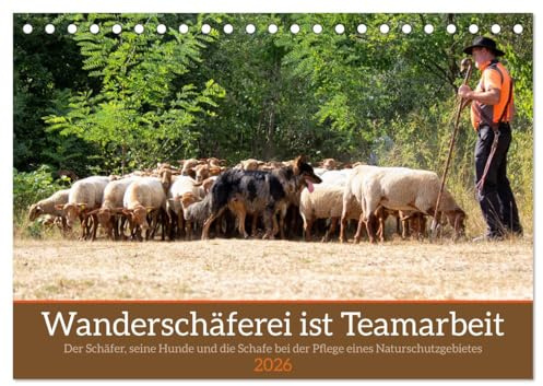 Wanderschäferei ist Teamarbeit (Tischkalender 2026 DIN A5 quer), CALVENDO Monatskalender: In der Pflege von Naturschutzgebieten werden gerne Schafe eingesetzt. (CALVENDO Tiere)