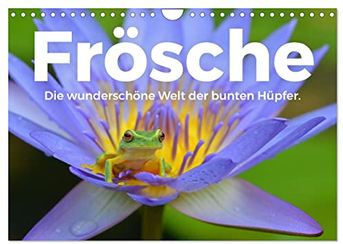 Frösche - Die wunderschöne Welt der bunten Hüpfer. (Wandkalender 2026 DIN A4 quer), CALVENDO Monatskalender: Tauchen Sie in die kunterbunte Welt der Frösche. (CALVENDO Tiere)