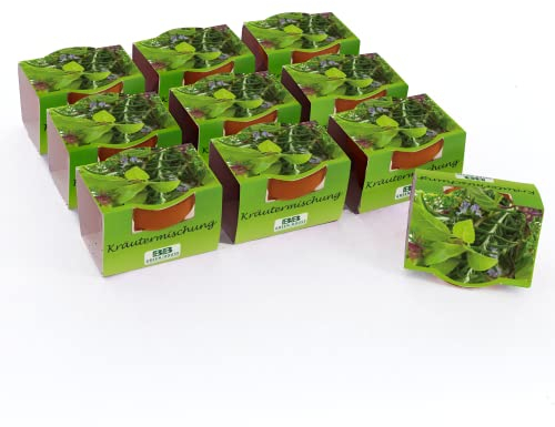 Bull & Bear Mini Pflanzset Kräutermischung Kräutermix Samen 10er Set, 10 Tontöpfchen mit Kräutersamen, Pflanzsubstrat und Pflegeanleitung