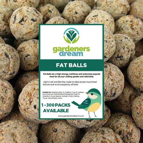 GardenersDream Boules de Graisse Friandises énergétiques pour Oiseaux Sauvages (Paquet de 50)