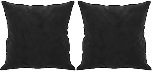 vidaXL Zierkissen 2 STK. Schwarz 40x40 cm Samt