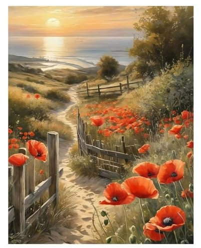 DCIDBEI Groß Diamond Painting Mohnblume Weg 40x50 cm Diamant Painting Bilder Blumen Diamond Painting Erwachsene Blumen Mohnblume Straße Romantischer Weg Stickbilder Landschaft Sonnenuntergang Meer