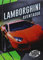 Lamborghini Aventador (Torque. Car Cruzy)