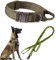 Taktisches Hundehalsband und Leine Set mit Griff Bungee-Leine Verstellbar Militär Training Nylon Halsband Hundetraining Kontrollgriff Metallschnalle (Grün L