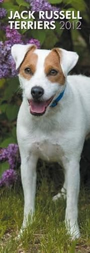 Jack Russell Terriers 2012 (Slimline-Kalender)