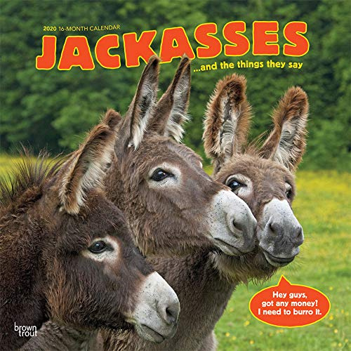 Jackasses and the things they say - Was Esel erzählen 2020 - 16-Monatskalender: Original BrownTrout-Kalender [Mehrsprachig] [Kalender] (Wall-Kalender)