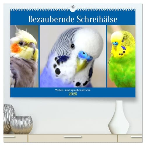 Bezaubernde Schreihälse. Wellen- und Nymphensittiche (hochwertiger Premium Wandkalender 2026 DIN A2 quer), Kunstdruck in Hochglanz: Bunte Wellen- und ... mit cooler Punkfrisur (CALVENDO Tiere)