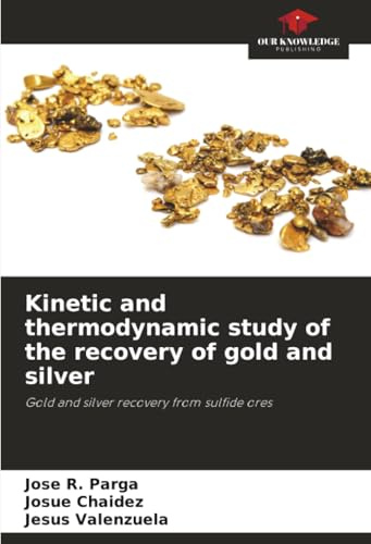 Kinetic and thermodynamic study of the recovery of gold and silver: Gold and silver recovery from sulfide ores