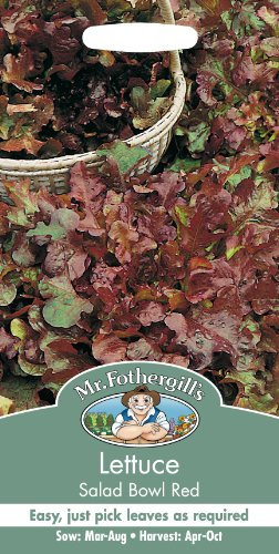 Mr Fothergills - Pictorial Packet - Vegetable - Lettuce Red Salad Bowl - 1250 Seeds