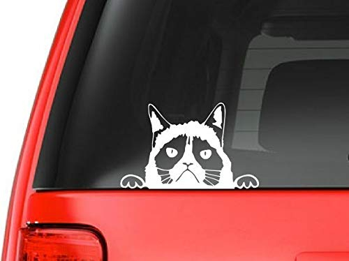 Sticker-Designs 10cm! Klebe-Folie Wetterfest Made-IN-Germany Pekingese Peeking Grumpy Cat Katze Funny D144 UV&Waschanlagenfest Auto-Aufkleber Profi-Qualität!