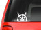 Sticker-Designs 10cm! Klebe-Folie Wetterfest Made-IN-Germany Pekingese Peeking Grumpy Cat Katze Funny D144 UV&Waschanlagenfest Auto-Aufkleber Profi-Qualität!