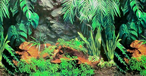 Dohse Aquaristik Rückwandfolie 180 cm x 60 cm Terrarien Aquarien Rückwand Hintergrund Dekoration Poster