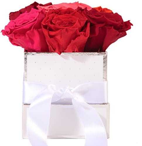 ROSEMARIE SCHULZ Heidelberg Rosenbox weiß personalisiert 6 Infinity Rosen bunt - 15x12cm haltbar bis zu 3 Jahre - echte Rosen bunter Blumenstrauß versenden persönliche Grüße (Perso Eckig Weiß, Bunt)