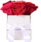 ROSEMARIE SCHULZ Heidelberg Rosenbox weiß personalisiert 6 Infinity Rosen bunt - 15x12cm haltbar bis zu 3 Jahre - echte Rosen bunter Blumenstrauß versenden persönliche Grüße (Perso Eckig Weiß, Bunt)