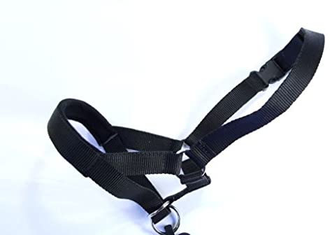 Headcollar Dog Halter/Training Head Collar Training Tool Dog, Head Harness to Stop Pulling on the Lead, Easy to Use, Padded Nose Band, Adjustable (2, Black)
