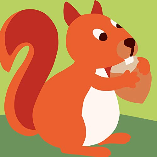 DMC - Eichhörnchen Gobelin Set