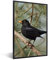MuchoWow Poster Bilder Wanddeko Deko Wohnzimmer 20x30 cm Vogel - Amsel - Zweige - Tiere