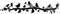 Porte-manteau mural, cintre mural en métal, oiseaux sur la branche porte-manteau en métal, cintre mural, décoration d'intérieur, porte-chapeau, porte-clés, patères d'entrée, porte-manteau, 60x17cm