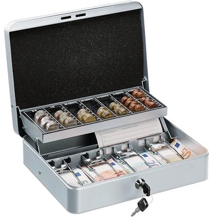 Relaxdays Cassetta di Sicurezza per Soldi, con Scomparto per Monete e 4 Vani per Banconote, 8,5x30,5x24,5 cm, Argentato