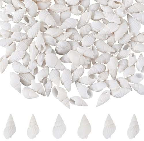 SOFPLATE 1 Box 350 Stück Kleine Weiße Muscheln Mini Spiralmuscheln Winzige Miniatur Muscheln Ohne Loch Strand Ozeantrompete Natürliche Meeresschnecke Zum Basteln Für Hochzeiten Partys Aquarien Kerzen