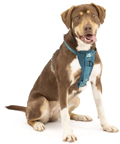 Kurgo TRU-Fit Hundegeschirr, Crash-Test-erprobtes Auto-Sicherheitsgurt, Für Hunde von 2 bis 5 kg, Größe M, Tinte Blau