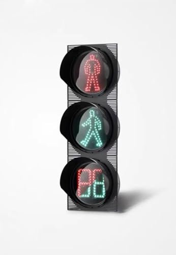 YXFAZPP Traffic Lights, Motor Vehicle Direction, Non-motorized Pedestrians, U-turn Arrow Lights, Red, Yellow and Green Lights,Traffic Control Equipment (300mmC)