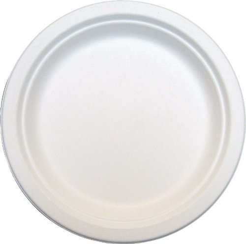125 x Round 9 Strong Paper Plates Biodegradable Bagasse Disposable for Dinner Side Starter - 23cm Diameter