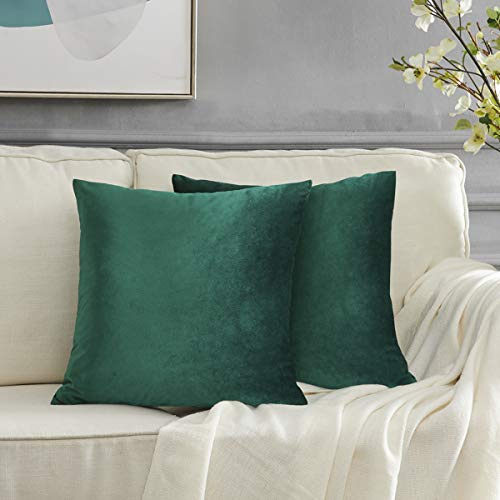 GIGIZAZA 2er Set Grün Kissenbezug Samt Kissenbezüge Dekorative Kissenhülle Sofakissen Zierkissen deko Dekokissen für Wohnzimmer Schlafzimmer Sofa Auto 55cmx55cm