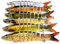 Joyeee 2 Stück Angelköder für forellen, Bass Köder Angelgerät zum Angeln auf Raubfische, Angelköder, Angelset für Hecht,Zander,Barsch und Forelle