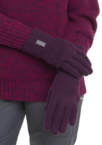 Icebreaker Rixdorf Handschuhe Nightshade L