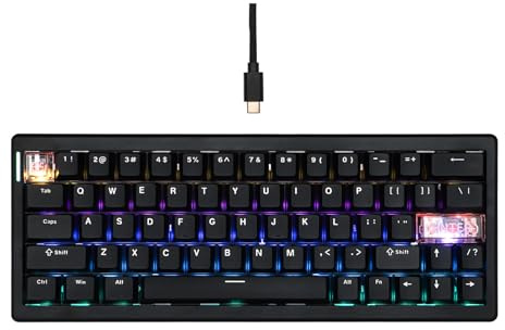 MechLands CIDOO C60 HE Wired Rapid Fast Gaming Keyboard mit Silent Magnetic Switch, Hall-Effekt-Tastatur mit 8K Polling Rate, 0.125ms Latenz, 63-Tasten Compact Layout, Hot-Swappable (Schwarz)