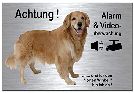 Golden Retriever-Alarm + Videoüberwachung-Hund-Schild-Hundeschild-300 x 200 x 3 mm-Aluminium Edelstahloptik-Hunde-Tierschild-Warnschild-Hinweisschild (Silber 133-42 mit 4 Löcher)