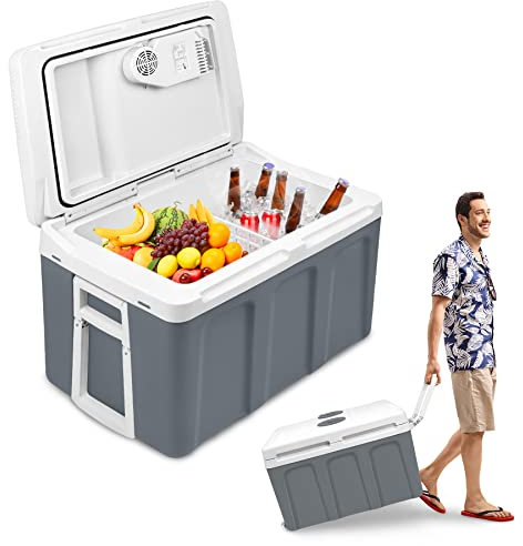 Froadp Frigorifero elettrico da 48 litri, 12 V, 230 V, con maniglia e spina, frigo portatile, riscalda e raffredda le bevande, mini frigo elettrico per barbecue, campeggio, barca, camper (grigio)