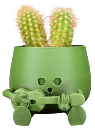 TSKIQQLQ Pots for Plants Succulents Planter 3D Printed Tabletop Flowerpot Home Office Decor Flower Pot for Cacti and Succulents Plant Lovers Gifts Plant Lover Gifts