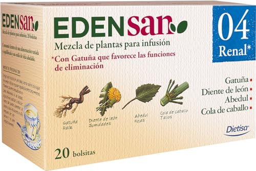 Dielisa EDENSAN 04 REN 20 Filtros
