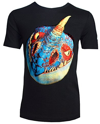 Dragons Kinder T-Shirt DreamWorks Sturmpfeil/Stormfly Kopf, Größe 116-158 (116/122)