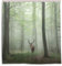 CPYang Duschvorhänge Tier Hirsch Nebel Wald Wasserdicht Schimmelbeständig Badvorhang Badezimmer Home Decor 168 x 182 cm mit 12 Haken