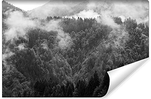 Wallepic Papier peint photo non tissé Motif forêt brume 120 x 180 cm Papier peint mural Motif arbres nature Noir/blanc
