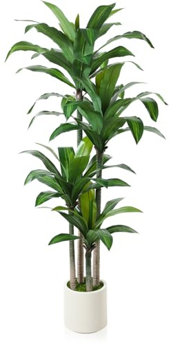 OAKRED Artificial Dracaena Tree 6ft, Tall Fake Dracaena Plants with White Planter, Faux Dragon Tree Indoor Floor Plant for Home Decor Office Living Room Porch Housewarming, 1Pcs