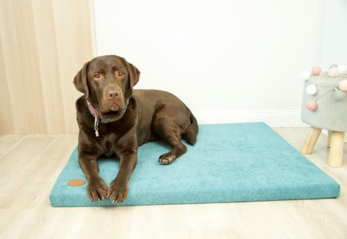 BORN2REST Bettmatte Matratze für Hunde und Katze waschbar Bunte Hundematte Hundekissen Matten Demi-Matratze Hundsofa S-XL (Turkis, M (70 x 60 x 3cm))