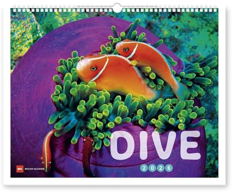 Dive - Kalender 2026 - Delius-Klasing-Verlag - Tauchkalender - Wandkalender mit faszinierende Unterwasserwelt - 56 cm x 46 cm