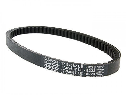 Dayco 8223 Keilriemen, L687 X B17.9