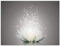 ARTland Wanddeko Glasbilder Wandbild Glas Bild einteilig 60x45 cm Querformat Abstrakte Kunst Botanik Blumen Seerose Lotusblume Kreativ S7FD