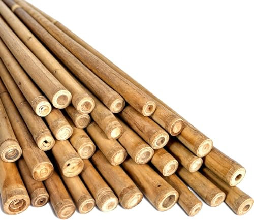 LOIBUYZ Bamboo Canes - Plant Supports for Outdoor Plants – Heavy Duty Professional Bamboo Sticks for Plants, All Lengths 2,3,4,5,6,7 & 8ft Garden Canes, Garden Plant Supports (5, 6ft, 14-16mm)