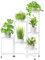 JC-Houser 6 Tier Plant Stand Indoor Tall, Metal Corner Plant Stands Outdoor for Plants Multiple, Folding Tiered Plant Shelf Flower Holder Display Rack for Window Porch Garden(White)