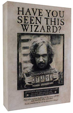 Harry Potter Sirius Black Luminart Kunstdruck auf Leinwand, beleuchtet, Schwarz