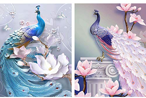 Reofrey 2 Pièces 5D Diamond Painting Diamant Peinture Bleu Rose Paon DIY Cristal Strass Plein Forage Broderie Point De Croix Chambre Salon Décoration 30x40cm