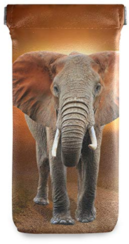 Brillenetui – Elefant auf Savanne, Querformat, zum Zusammendrücken, Sonnenbrillen-Beutel, tragbare Mikrofasertasche für Damen und Herren
